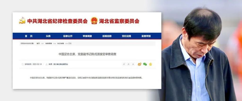 绿野仙踪林视频入口欢迎您